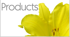BellaFemme Products